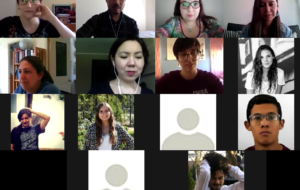 Imagen participantes webinar via zoom