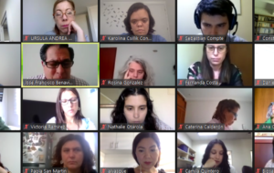 Imagen participantes webinar vía Zoom