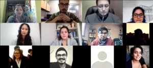 Imagen participantes webinar vía zoom