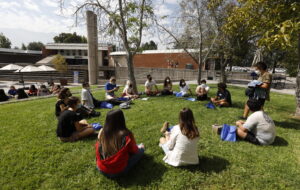 Estudiantes sentados en el pasto en campus UC