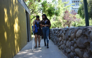 Profesionales de la Dirección de Inclusión UC participando en talleres del Día de la Discapacidad